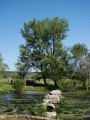 DSC00032